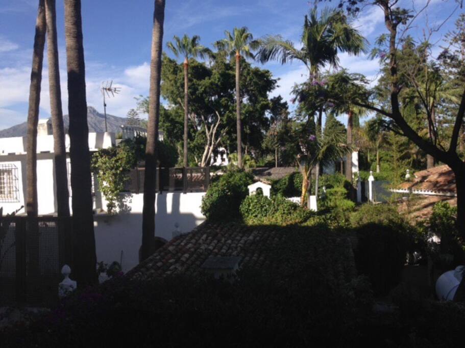 View from the terrace! (East, over villa area)