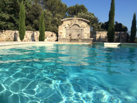 Live in the heart of Provence! 2 x 9 people