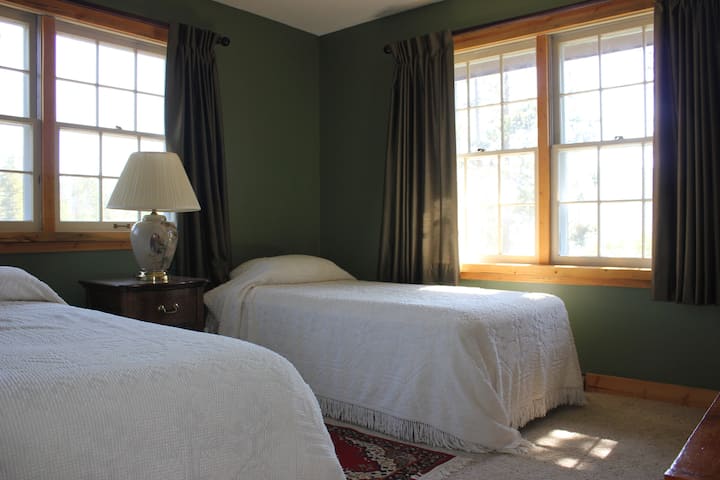 gemelos en un solo huésped