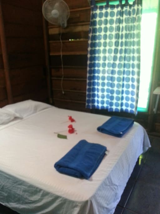 "CORAL" triple room (1)