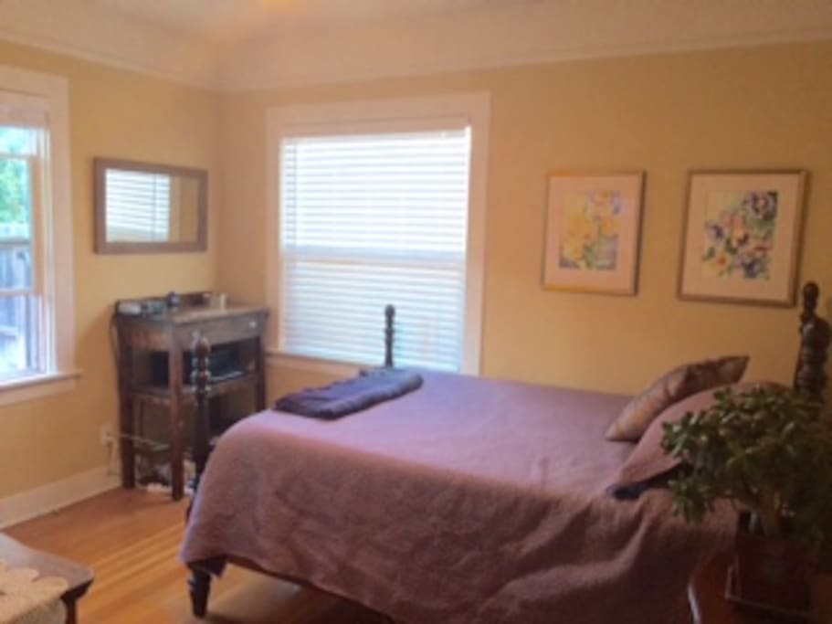 Sunny downstairs bedroom