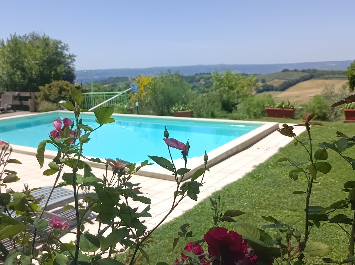 A serene swimming pool is framed by lush greenery and colorful flowers. The clear water reflects the surrounding landscape, which includes rolling hills and a clear sky. The area is designed for relaxation, with comfortable seating partially visible in the background.
