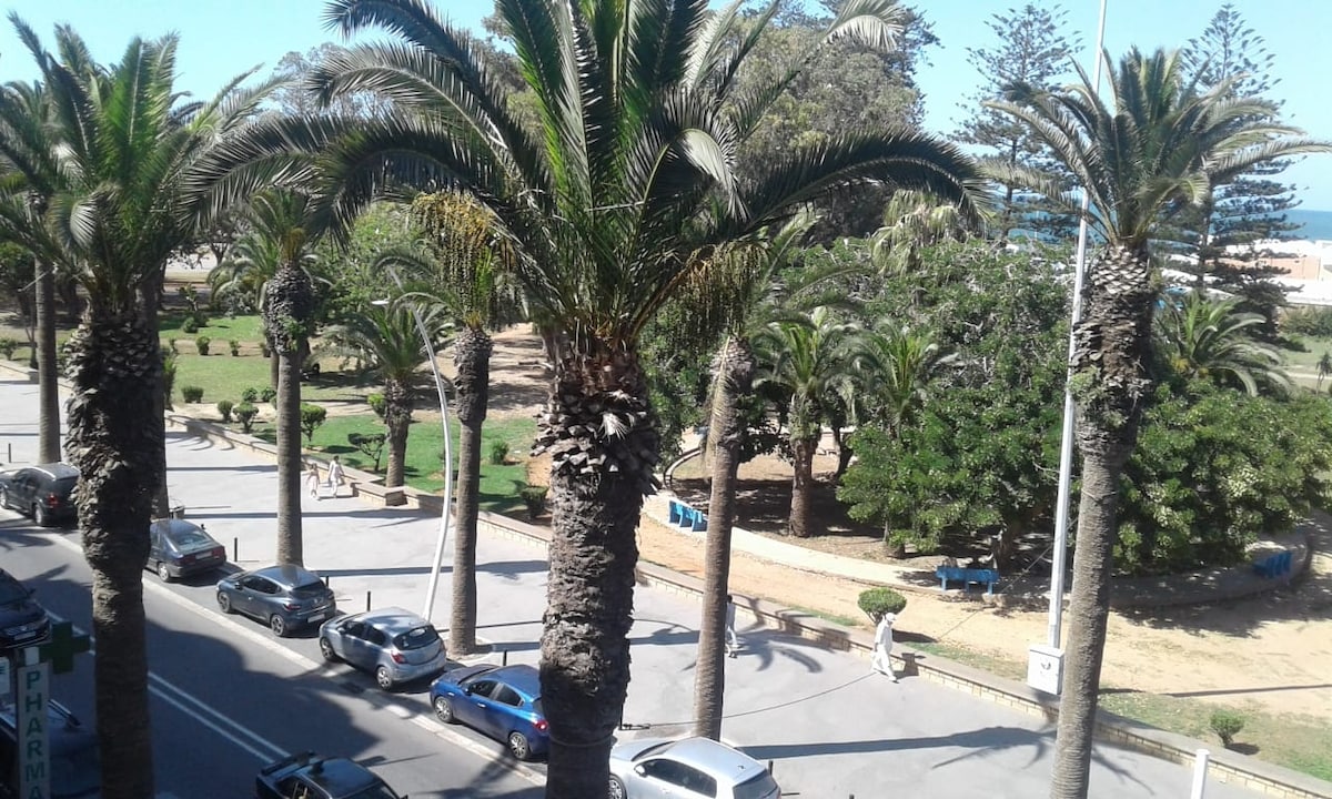 A view of a park featuring tall palm trees, with green areas and pathways visible. Vehicles are parked along the street, and a glimpse of the ocean can be seen in the background. The image captures the serene atmosphere of the surroundings.