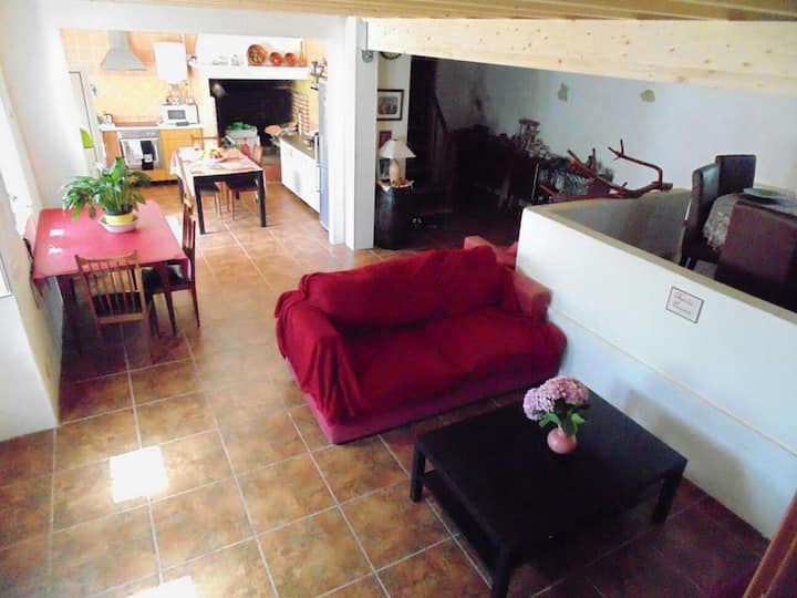 Dnevni boravak, vinski podrum i kuhinja