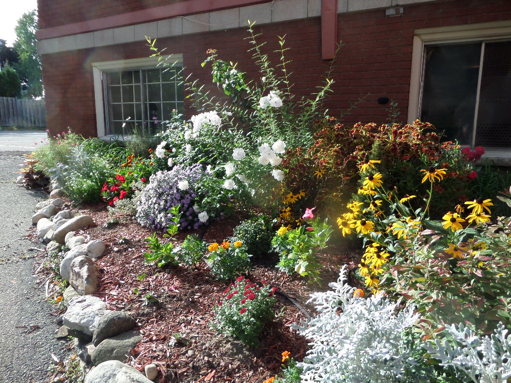 A colorful flower bed displays a variety of blooming plants, including white blossoms and vibrant yellow and purple flowers. Nestled among rocks and mulch, the arrangement adds a lively touch to the exterior of the building.
