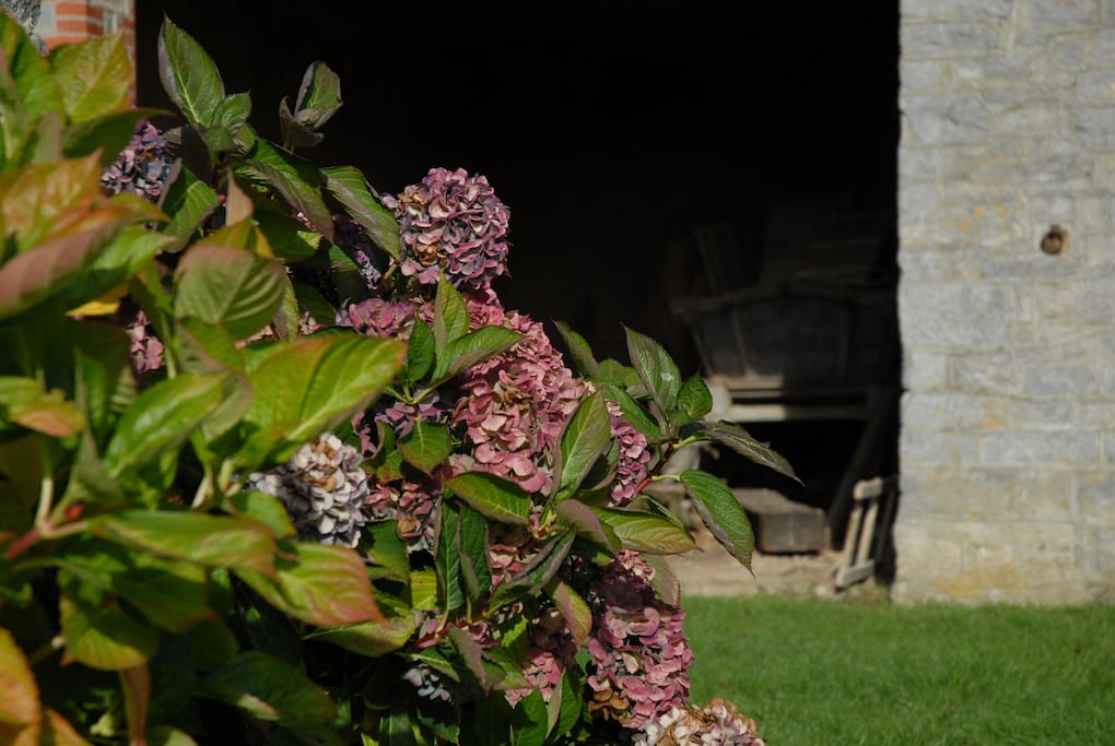 Le jardin et le verger sont entretenus par un jardinier
