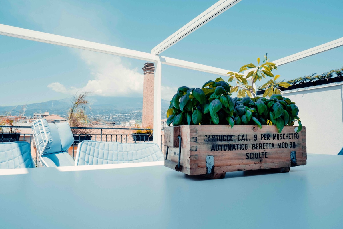 A wooden planter filled with lush green herbs sits on a white table. In the background, comfortable loungers and a clear blue sky with scattered clouds can be seen, creating a serene and inviting outdoor space.