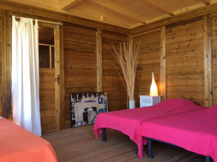 Cobertizo - habitación