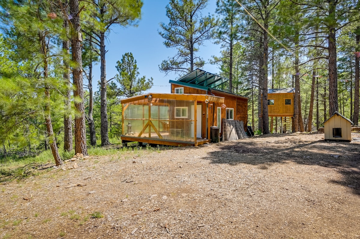 A cozy cabin surrounded by tall pine trees is depicted, with a large, enclosed deck that allows for outdoor relaxation. A separate tree house is visible in the background, providing additional space. The natural setting enhances the sense of privacy and tranquility.
