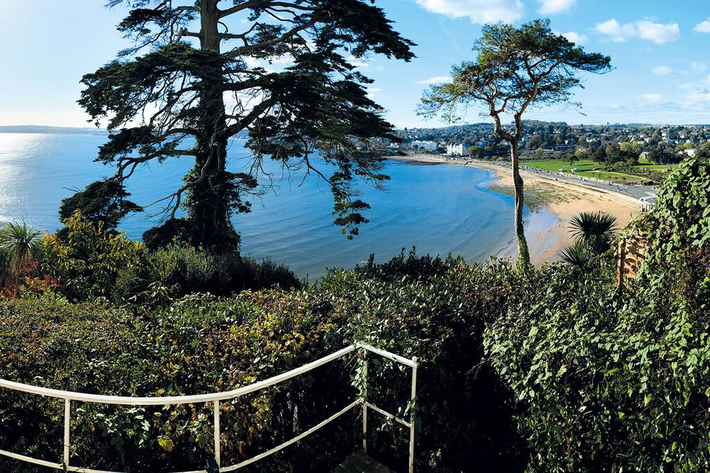 view from the terrace