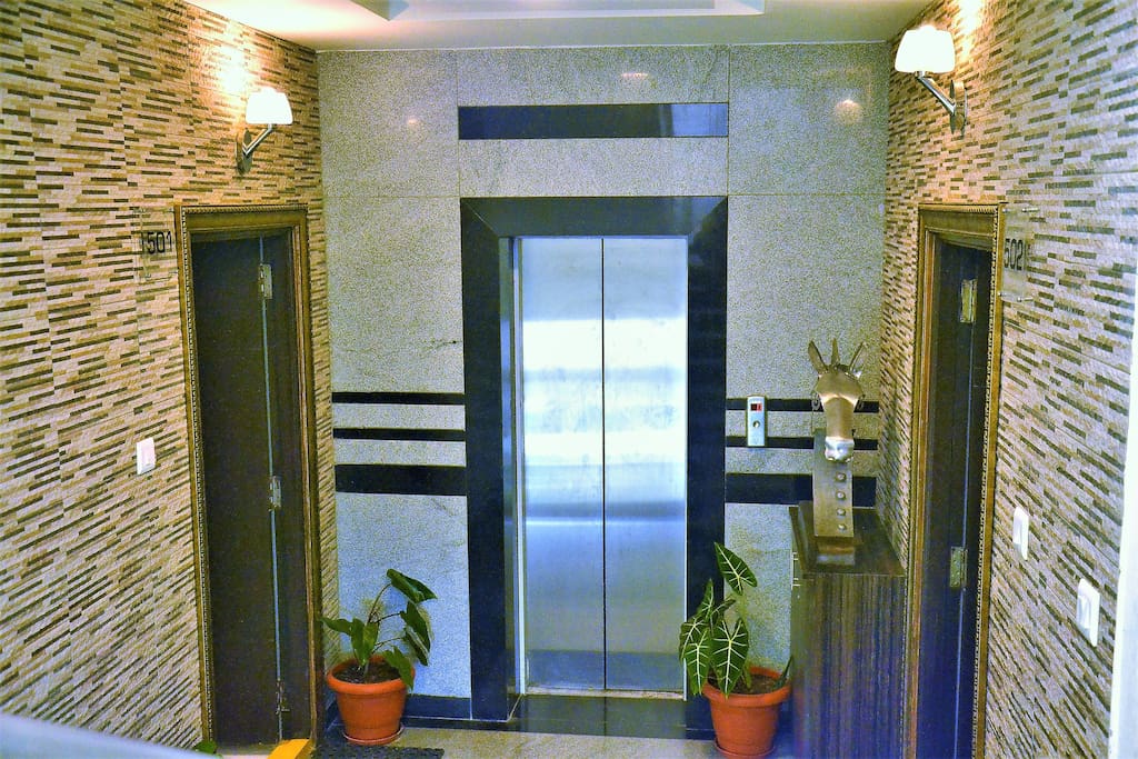 Lift Lobby to "Art&Beauty" 501 Flora Vihaan on the 5th.Floor.
The Hosts live in 502.(opposite) and are easily accessible for any help.