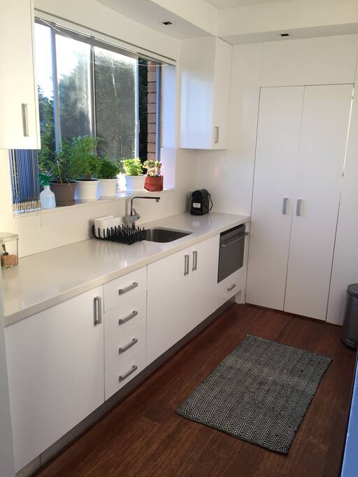 very clean kitchen