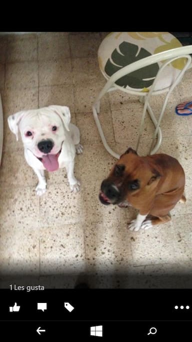 Lorenzo y emita!!!