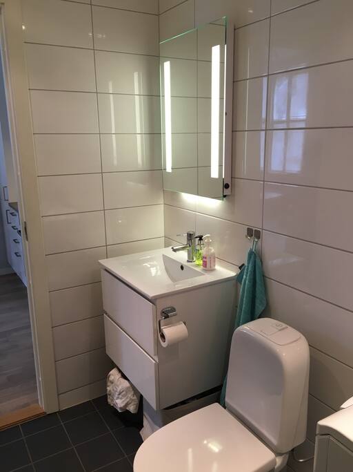 Modern lighted «selfie mirror» and all you need for some days away. Hairdryer is in the bottom drawer.