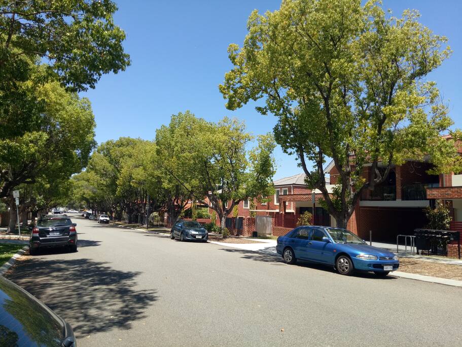 Quiet tree lined street