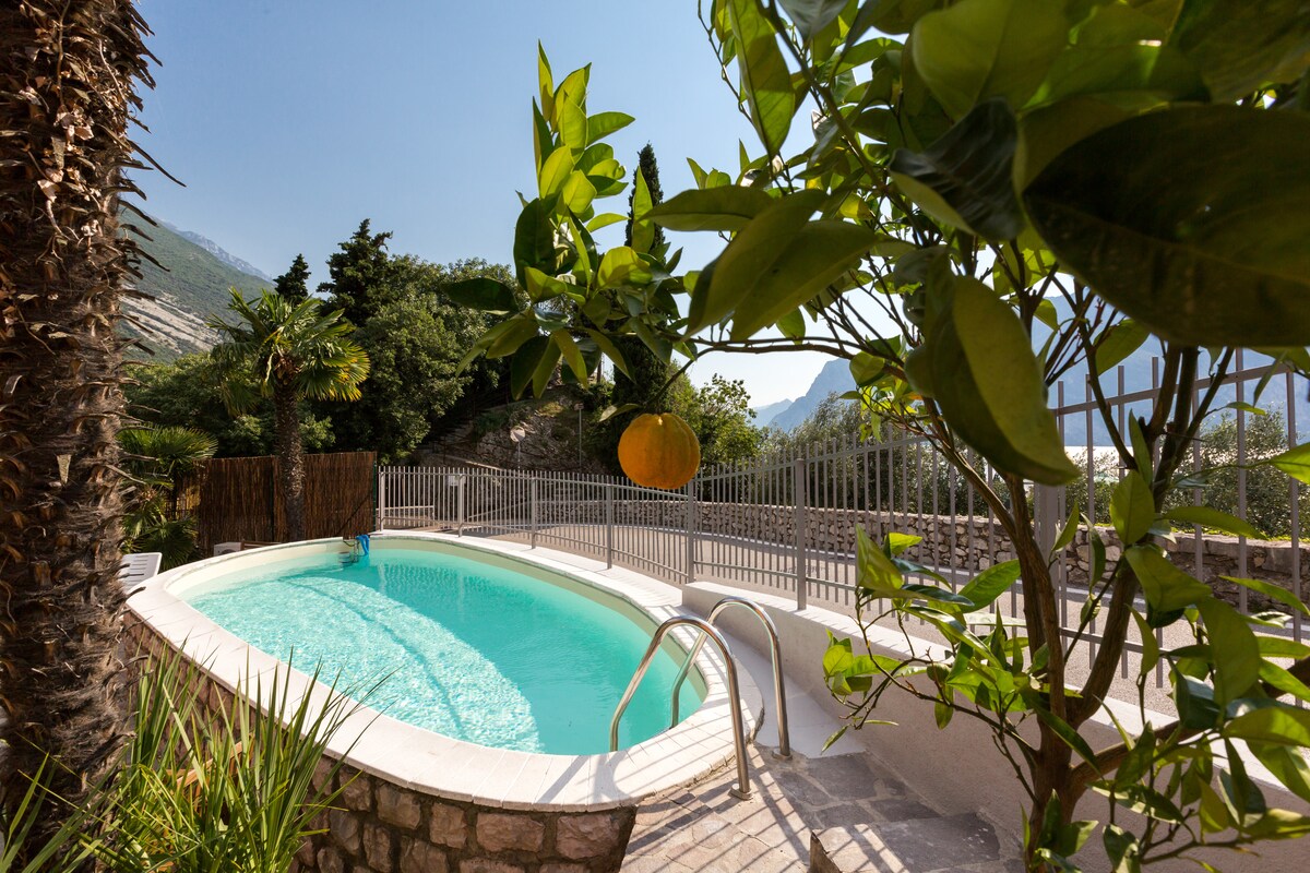 A serene swimming pool is surrounded by lush greenery, with a clear blue water inviting relaxation. A fruit-laden tree adds a touch of natural beauty, while a stone border complements the tranquil setting. The area is enclosed by a fence that enhances privacy.