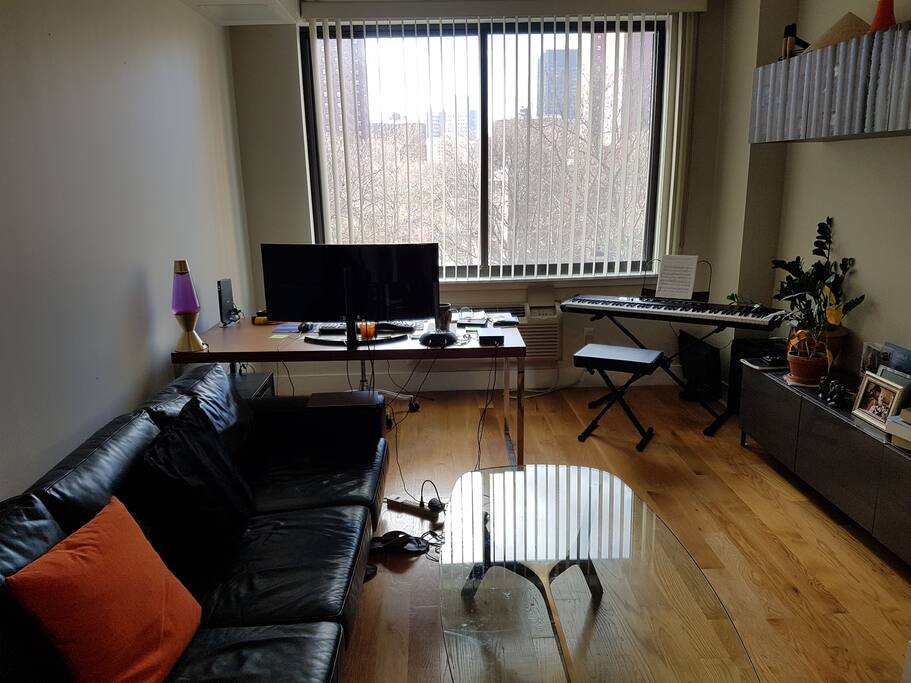 Living Room + Work Area