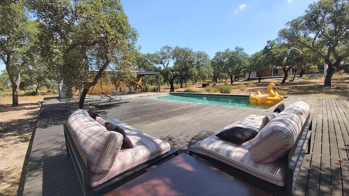 A spacious outdoor area features sun loungers with striped cushions positioned near a tranquil pool. Lush trees surround the space, providing shade and a natural setting. A playful yellow float is seen in the water, complementing the serene environment.