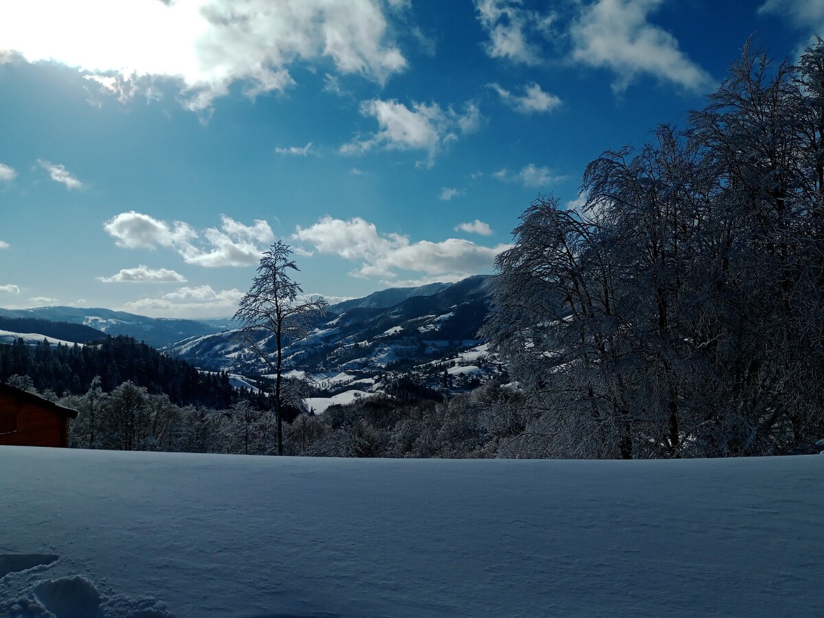A snow-covered landscape unfolds under a bright blue sky. White snow blankets the ground, while frosted trees are scattered across the view. Rolling hills and valleys create a scenic backdrop, showcasing the beauty of the winter season in the mountains.
