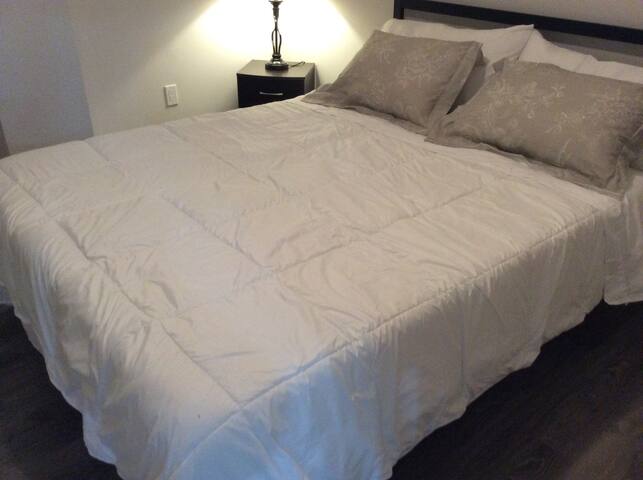Hamilton , Bright  bedroom  basement apartment
