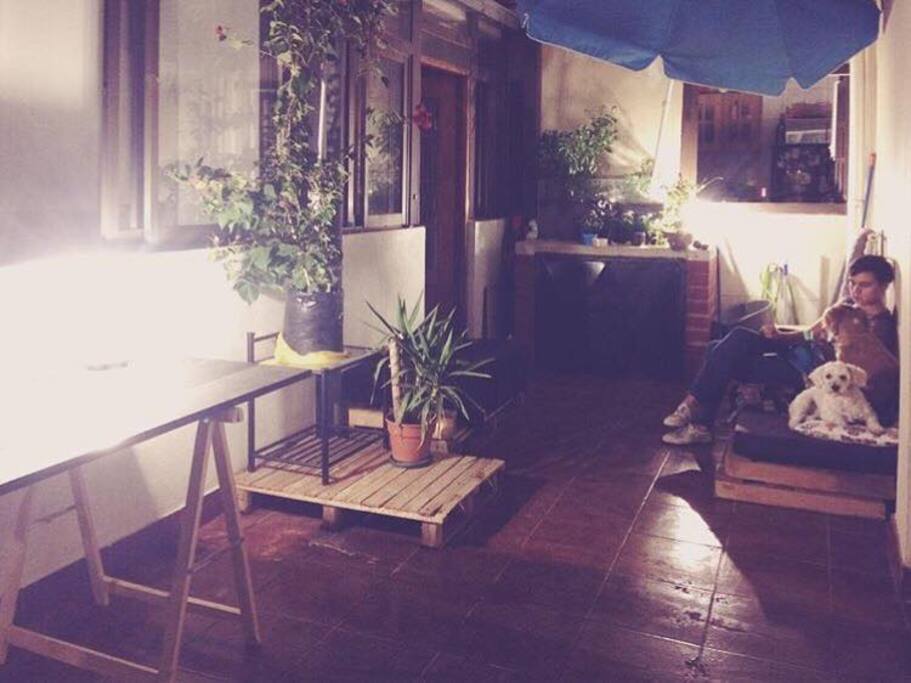 Patio interior