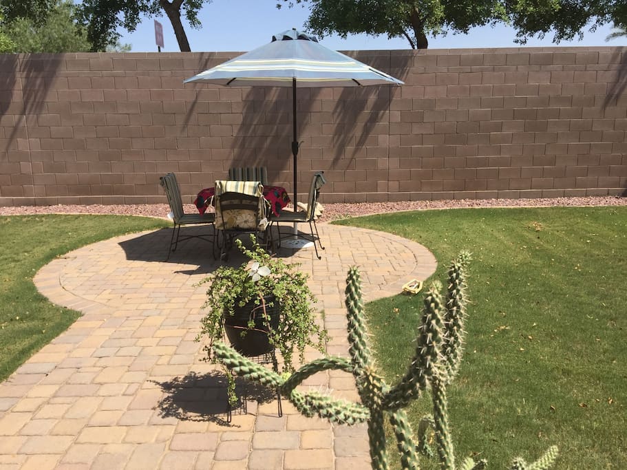 Back yard