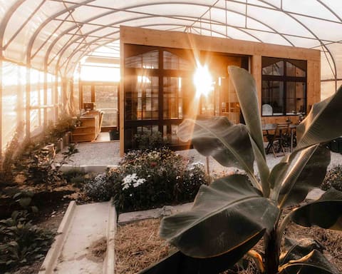 Sleeping in the greenhouse with great views 2