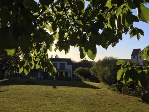 Peaceful oasis in the cherry blossom valley