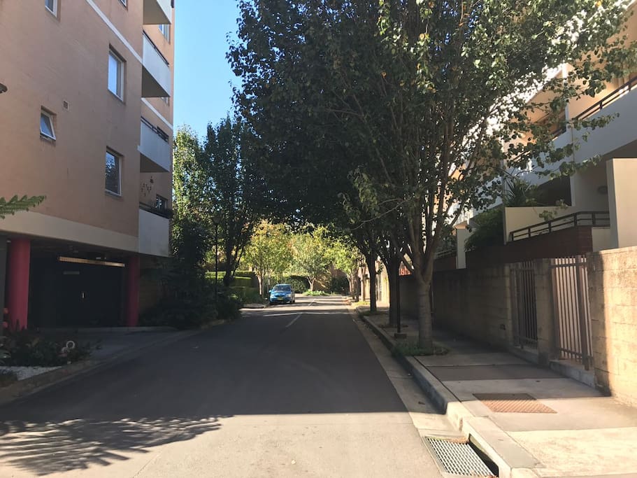 Road into complex