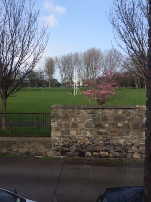 View from Bedroom
