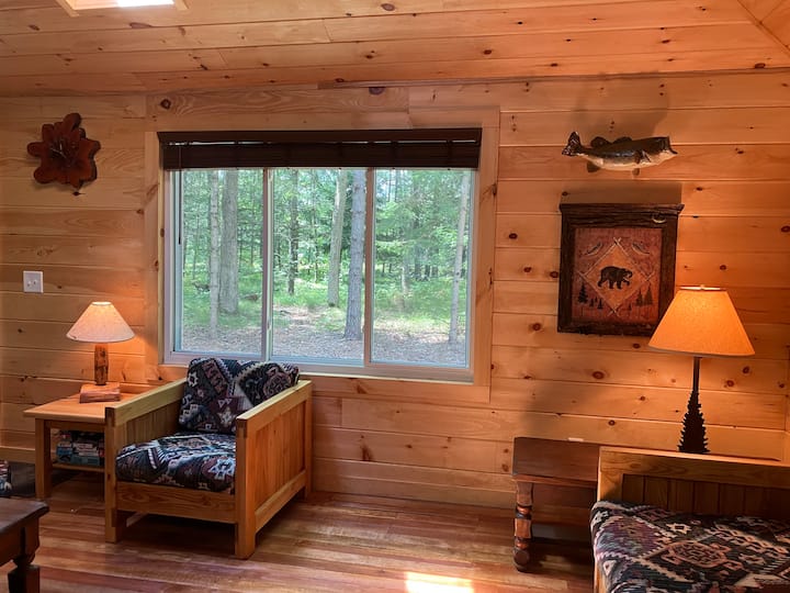 Secluded Cabin 2 Bedroom With A Lake Nearby - Baldwin, MI