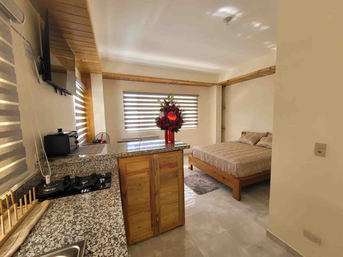 A well-lit studio features a spacious bed with neutral bedding. A small kitchen area with modern appliances includes a stovetop and a granite counter. Natural light enters through large blinds, and a decorative vase with red flowers adds a pop of color to the space.