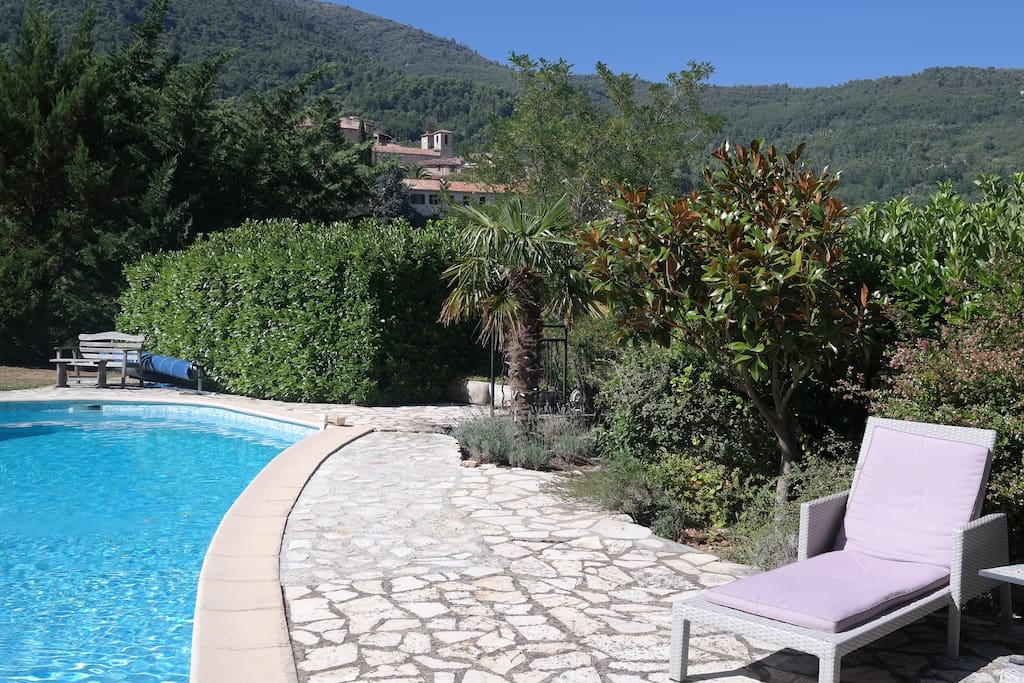 Pool with a view of Seillans in the background