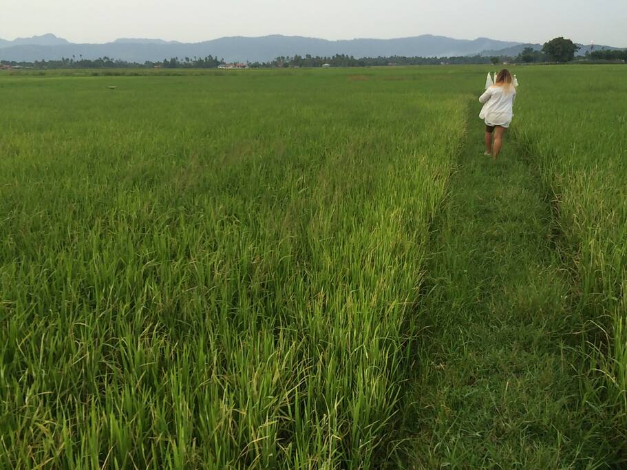 Walk with nature