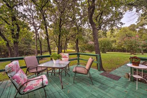Happy Homestead in the Woods