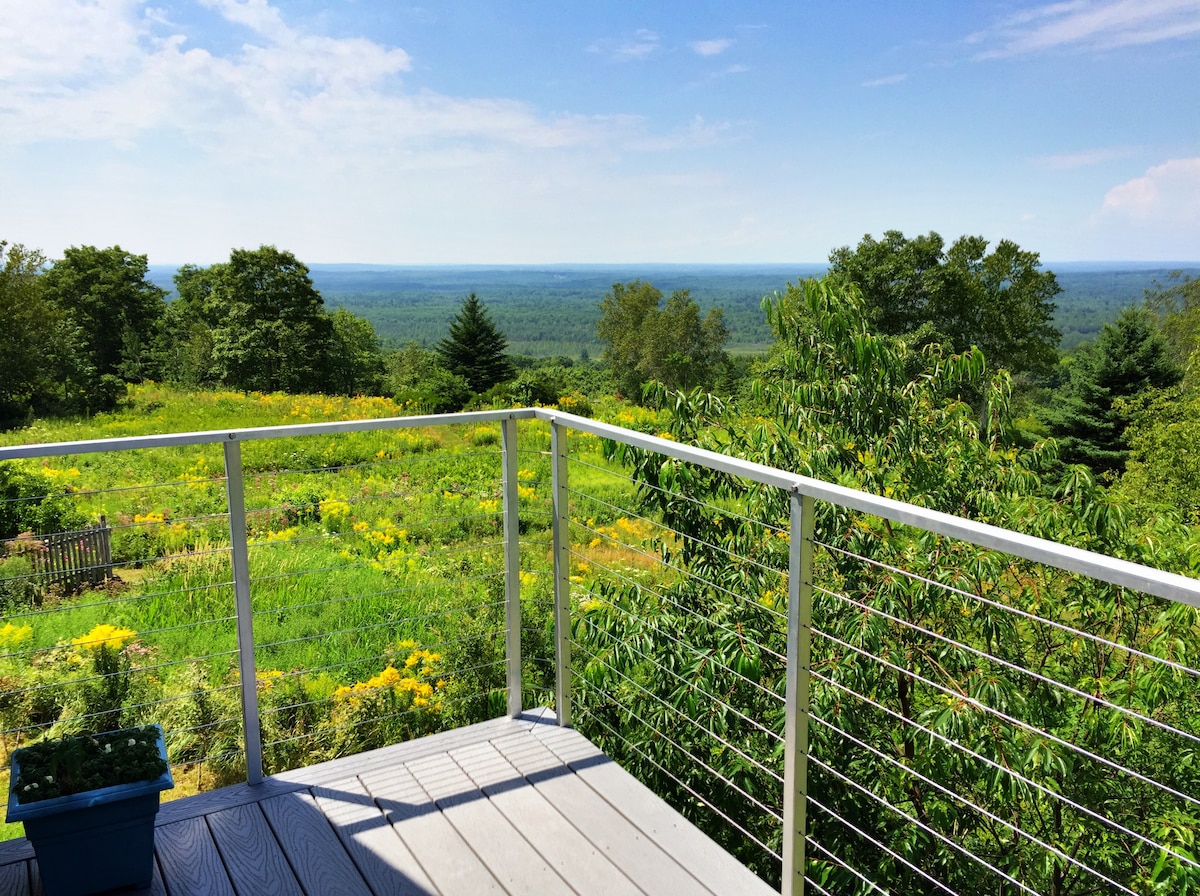 A spacious balcony offers stunning views of a vast natural landscape filled with greenery and wildflowers. A railing made of metal cables encircles the space, enhancing the sense of openness to the tranquil surroundings.