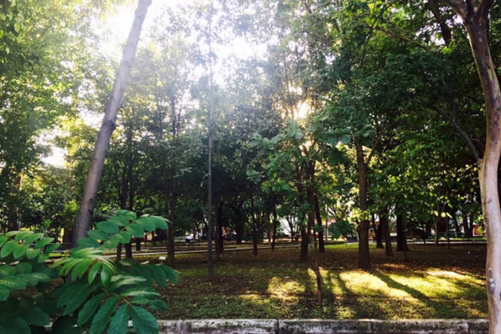 El parque de las estrellas