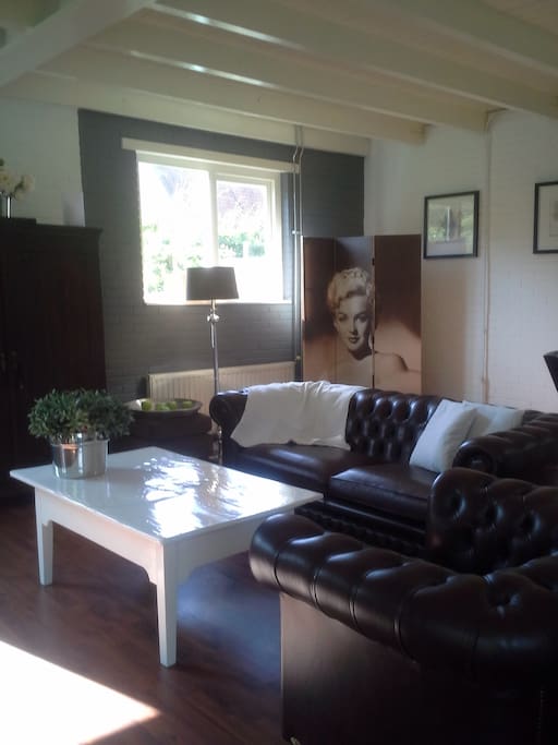 Gezellige huiskamer