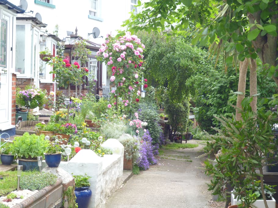 Lane leading to the town centre
