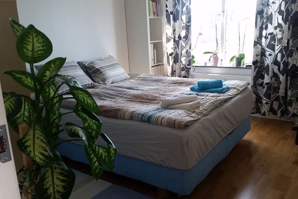 Double Bed