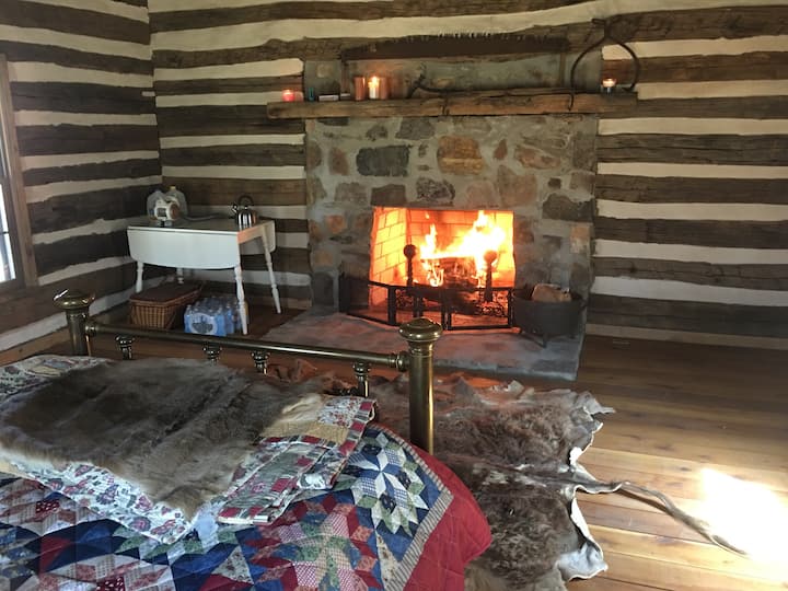 Back in Time! River Log Cabin *OffGrid* Cabins for Rent in