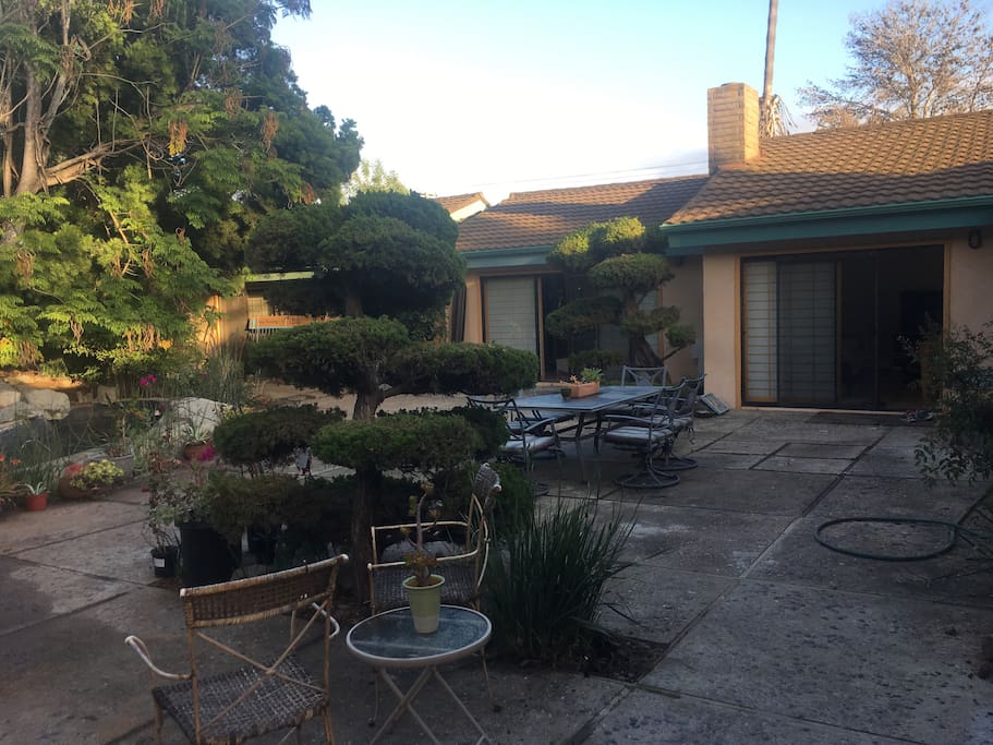 Shared back patio