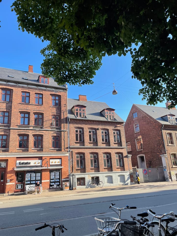 Charming, Spacious Apartment In Central Copenhagen - Kopenhagen