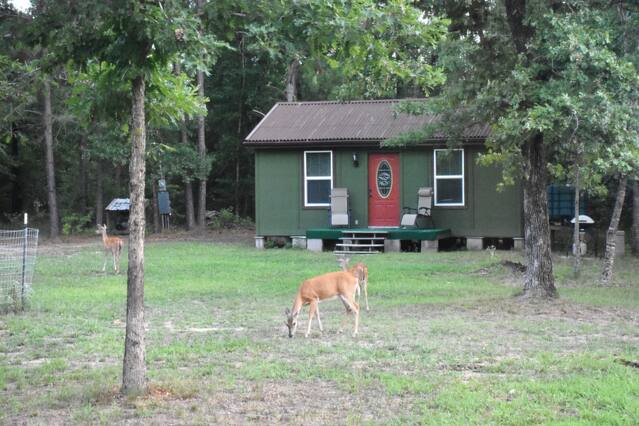 Airbnb Davy Crockett National Forest Vacation Rentals