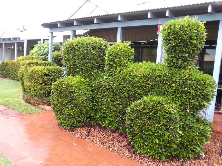 Manicured lush gardens