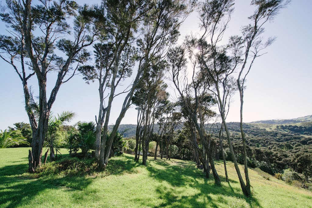 Property views with bush walks, walkable to 2 local vineyards