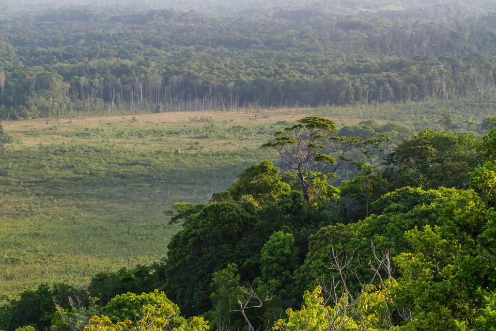 O litoral da Bahia é o maior do Brasil. Aqui vemos a costa de Ilhéus e de Serra Grande, com seus 35 km de extensão e natureza quase intocada. Muitos pássaros habitam estas falésias, restingas, matas e manguezais. Foto: Marcelino Dias.