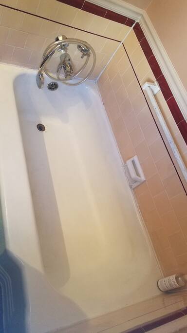 Separate Tub next to Shower