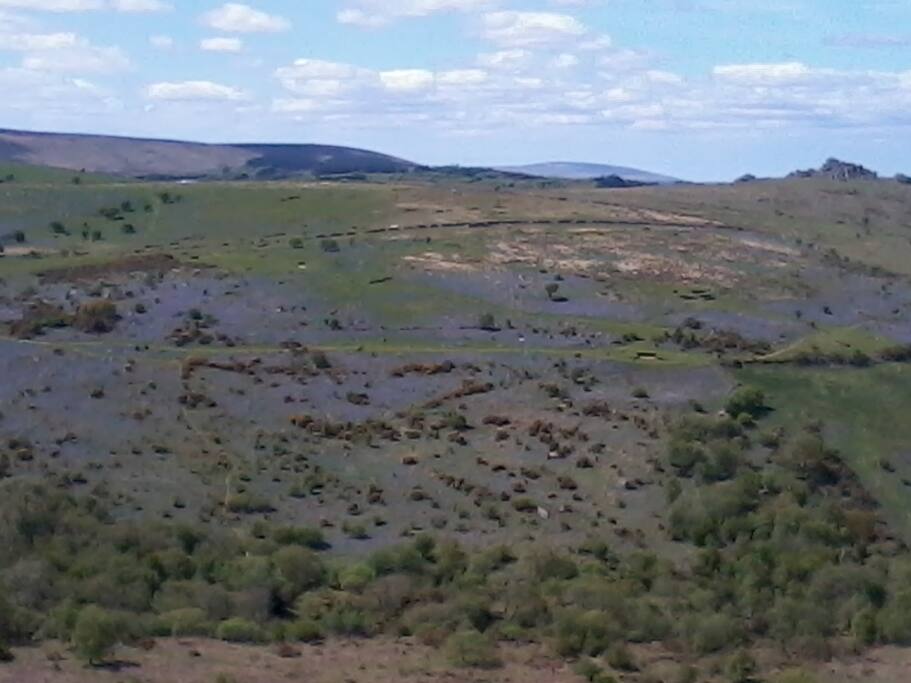 Beautiful Dartmoor is close by