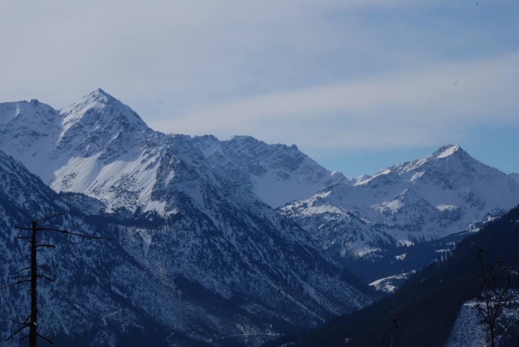 Blick aus dem Esszimmer